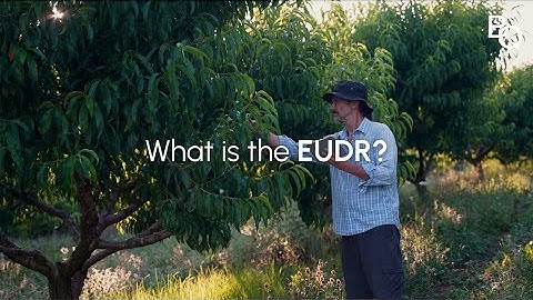 The EUDR Software Compliance Solution Before The Deadline