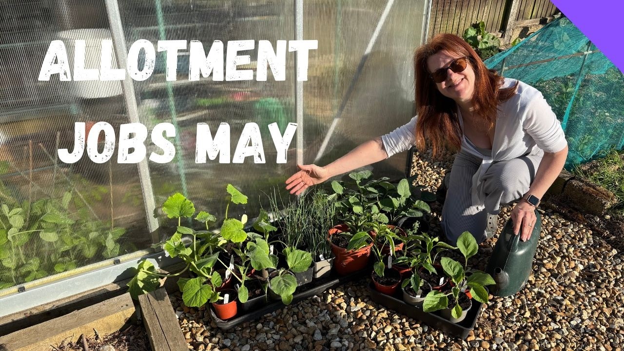 Allotment Jobs For May - Allotment Gardening For Beginners UK - YouTube