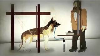 Operant Learned Behaviors