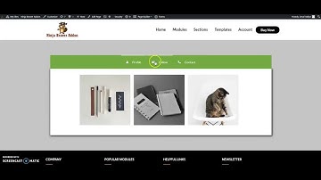 Ninja Beaver Addons  Advance Tabs Module