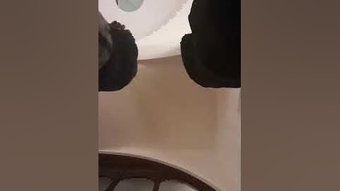 مرئى سورة المؤمنون كاملة آخرها خاشعة للشيخ خالد الجليل ليلة ١٦ رمضان ١٤٤٤ه‍.