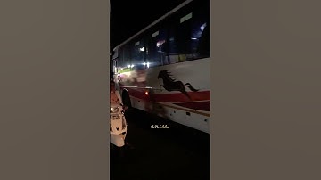 Royal Shivshahi Entry Status. Mass Moment #कोकण #subscribe #shorts #msrtc #konkan