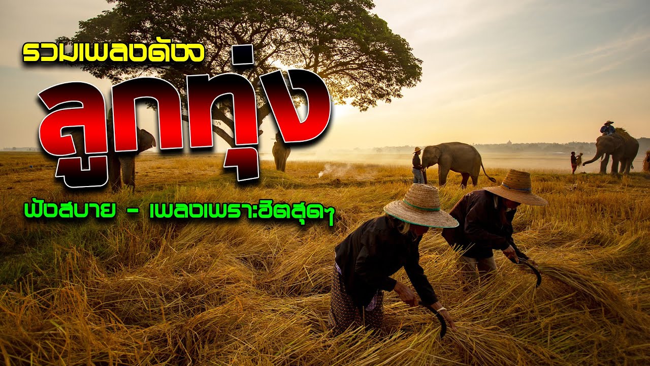 ลูกทุ่ง เพราะมากๆ โดนใจ [ รวม 20 เพลง คัดพิเศษ]  #ฟังต่อเนื่อง #รวมเพลงลูกทุ่งฟังเพราะ #เสียงดี