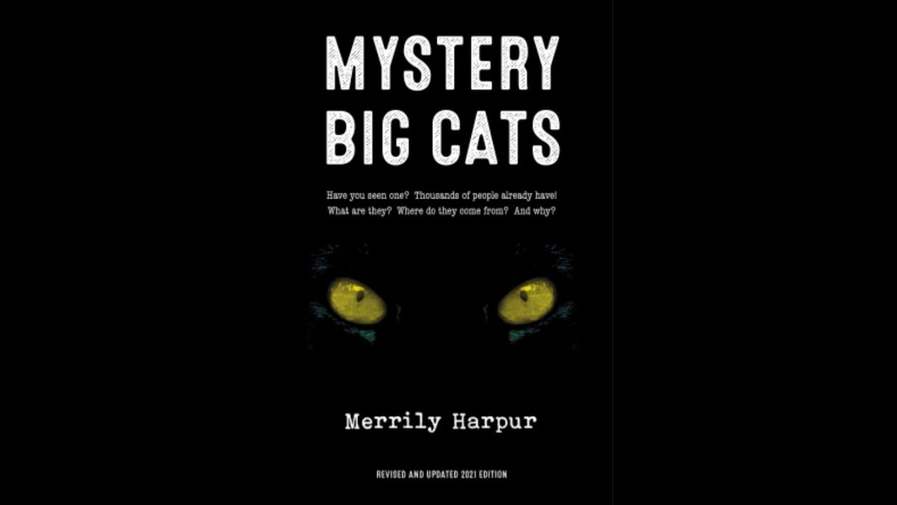 Mystery Big Cats by Merrily Harper || Book Review