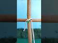 The Strongest Knot You’ll Ever Need (No Tools Required!) #LifeHack  #KnotHack #RopeKnot #KnotTricks