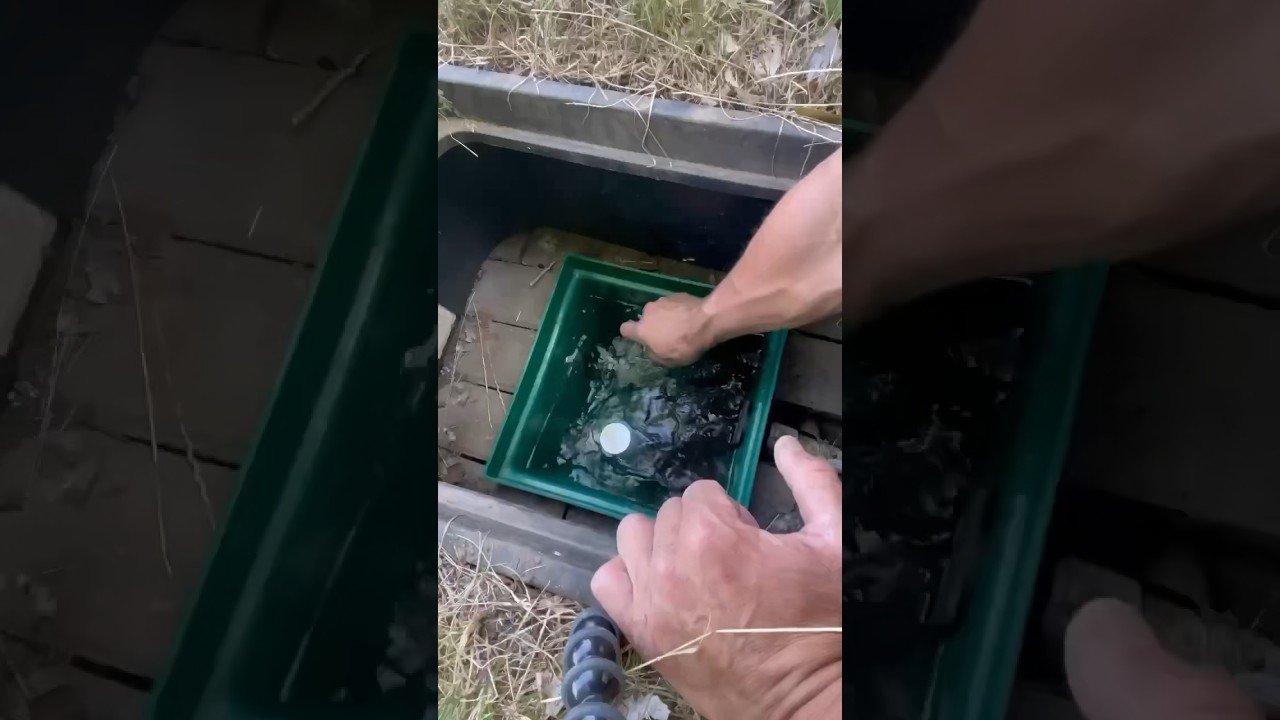 Off-Grid Mtn. Spring Water System🤝🛠💪 Pt.1 