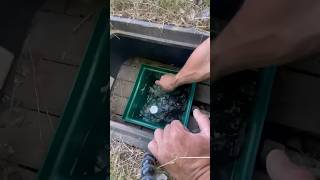 Off-Grid Mtn. Spring Water System🤝🛠💪 Pt.1 #diy #idaho #mountain #spring  #homestead #water