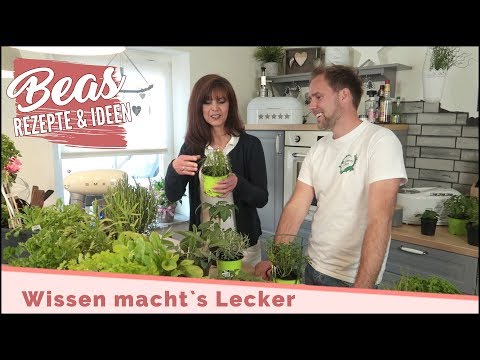 Video: Kräuter zum Grillen: Anbau eines Kräutergartens für Fleisch und Marinaden