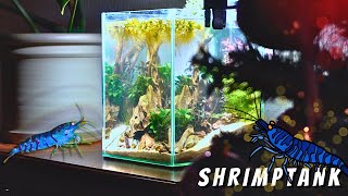 🌿I BUILT A NANO SHRIMP TANK FOR MY NEPHEW | TERRAQUAMAN