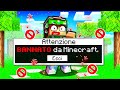 SONO STATO BANNATO *PER SEMPRE* da MINECRAFT!