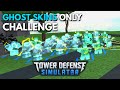GHOST SKINS ONLY CHALLENGE | Roblox Tower Defense Simulator