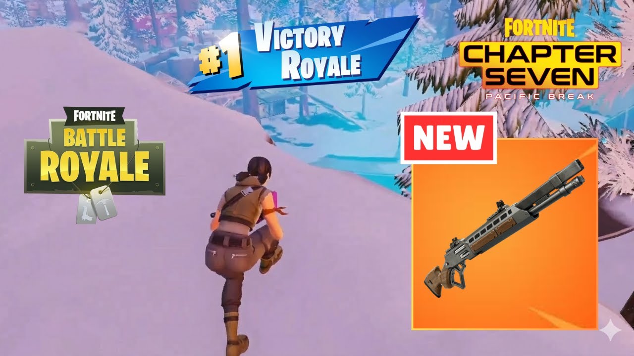 Solo Battle Royale WIN #11 in Fortnite Chapter 7