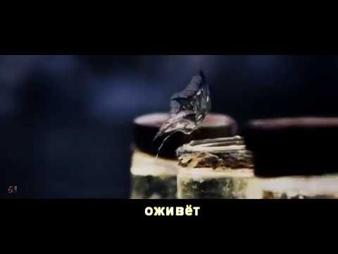 буктрейлер "Волшебные акварели доктора Туреску" М. Тович