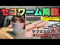 絶対に釣れるワームなのか・・・ #ヤマミミズ #ゲーリーヤマモト #セコ釣り