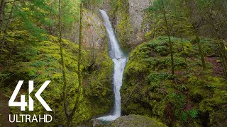 Relaxing Sounds of Oregon Waterfalls - 8HRS of Birds Chirping and Falling Water Sounds (4K UHD)