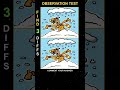 Observation Challenge