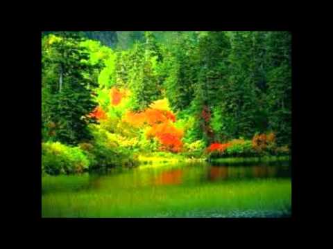 سورة آل عمران للشيخ حسن شار والشيخ عبدالله مانع