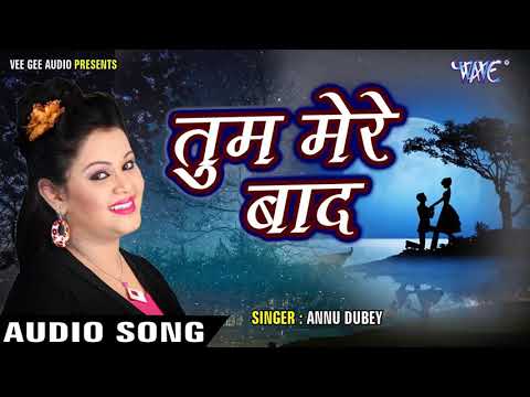 Tum Mere Baad Mohabbat Ko Taras Jaoge Song MP3 Annu Dubey