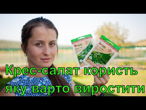 Кресс салат як виростити вдома