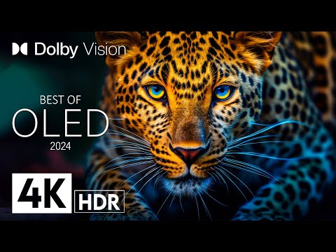 DIVERSE ANIMAL WORLD 4K HDR - With Cinematic Sound  (color dynamic)