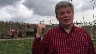 Spring in the Apple Holler Orchard 2016