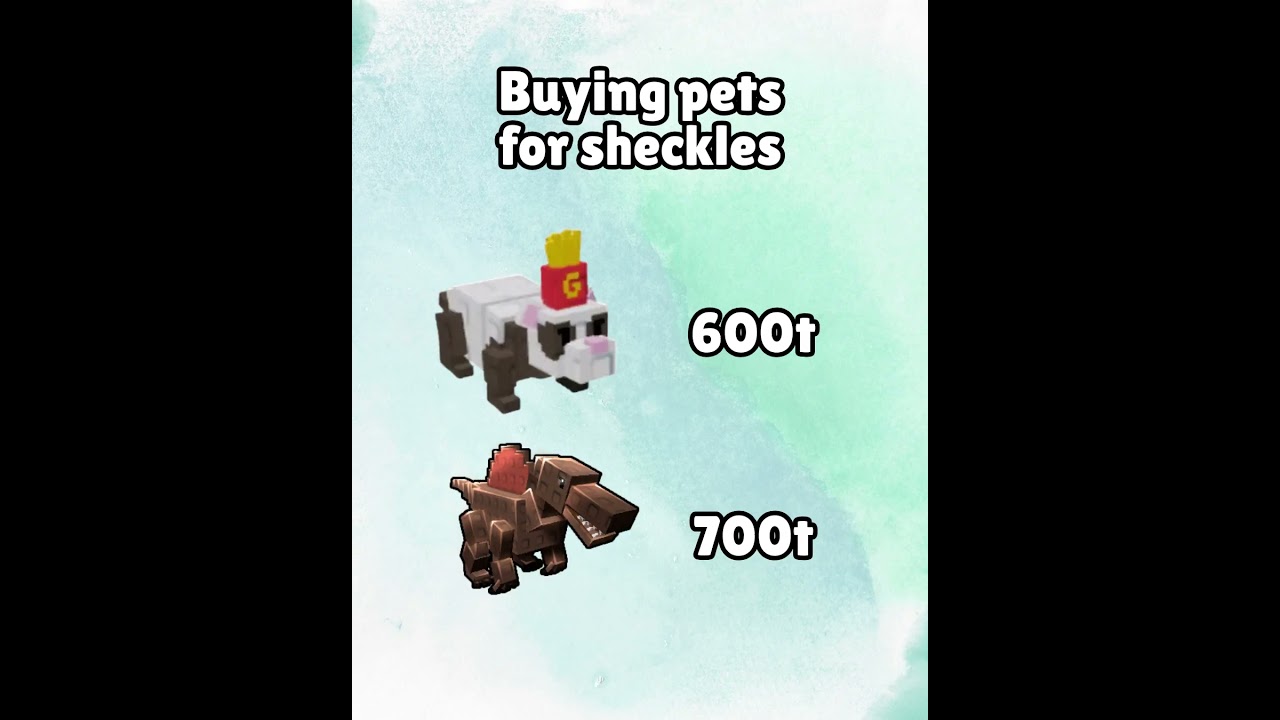 Username: Syafiqhafidz        