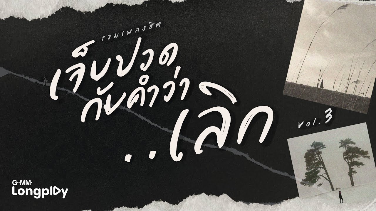 รวมเพลงฮิต เจ็บปวดกับคำว่า...เลิก VOL.3 l โบ สุนิตา, นันทิดา แก้วบัวสาย, มาช่า วัฒนพานิช, แอน ธิติมา