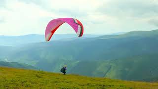 Famous Is Mike Youngquist Single? Wealth