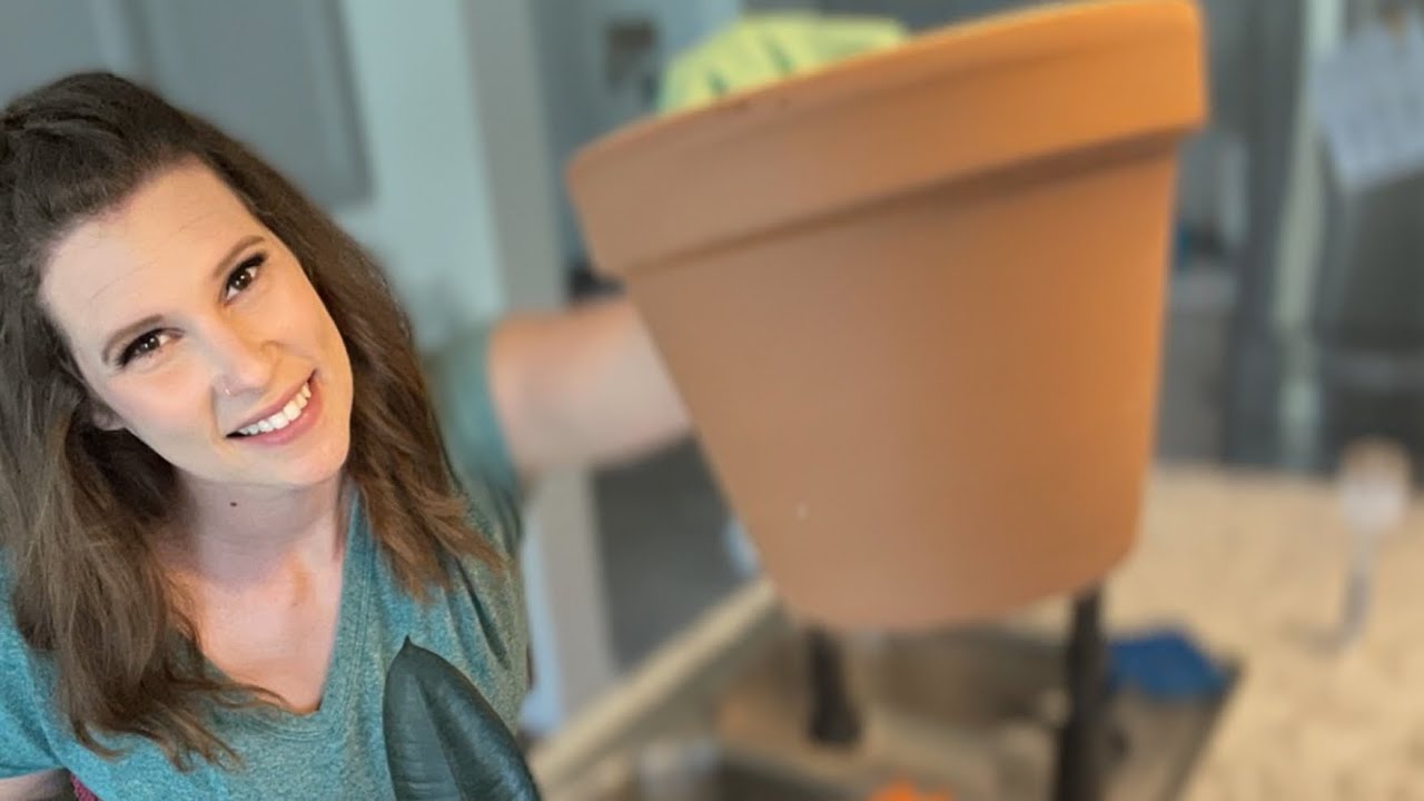 ASMR terracotta pot scrubbing and repotting YouTube