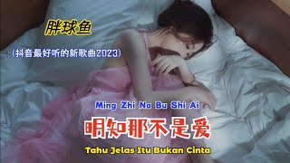 胖球鱼 - 明知那不是爱 (抖音最好听的新歌曲2023) Ming Zhi Na Bu Shi Ai【Tahu Jelas Itu Bukan Cinta】- Terjemahan Indonesia