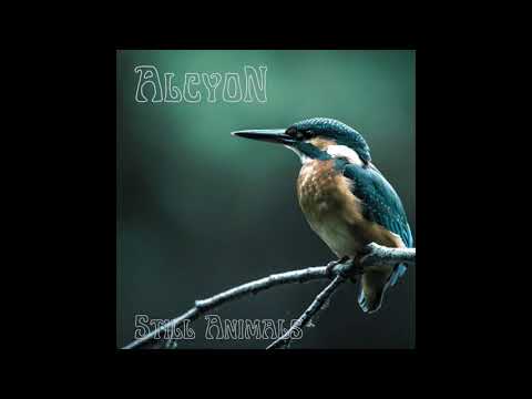 ALCYON - Struggle