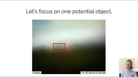 Context R-CNN: Long Term Temporal Context for Per-Camera Object Detection