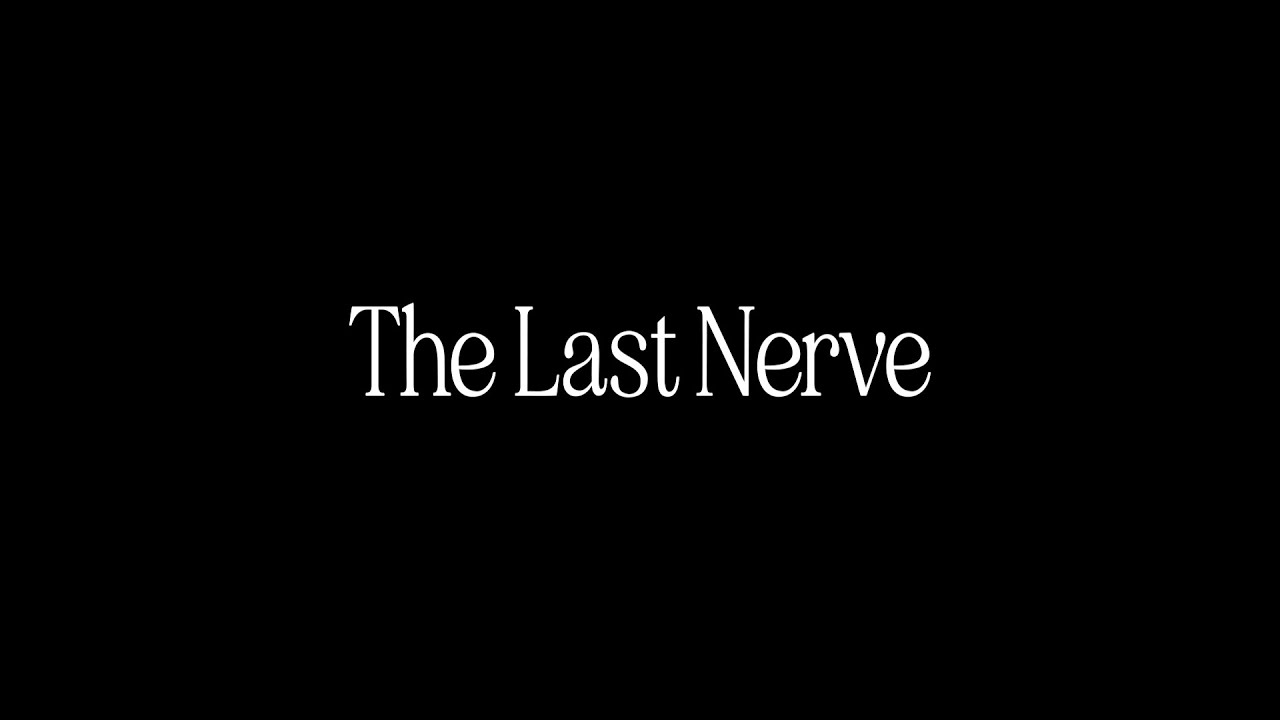 The Last Nerve - 2025 Buffalo 48HFP - PizzaDog 3.0