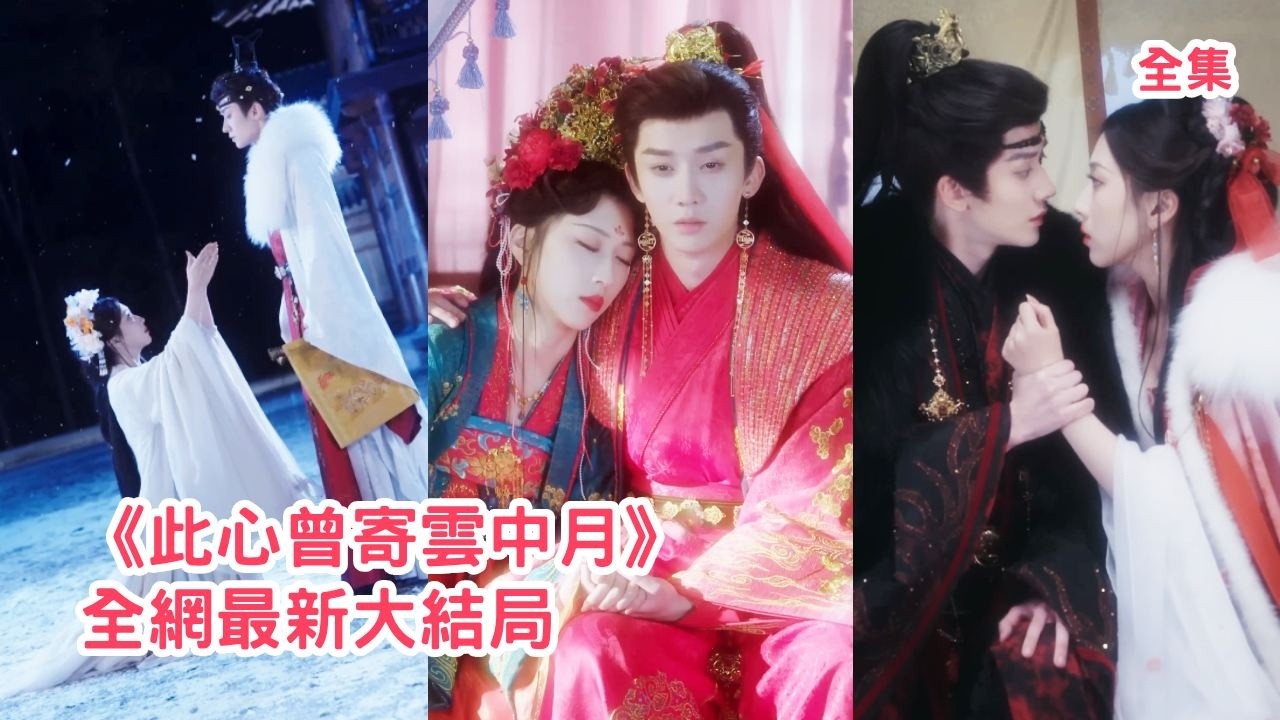 相爷虐恋：替嫁王妃的复仇与救赎