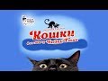 КОШКИ В ГОСТЯХ У БАБКИ-ЁЖКИ - ТЕАТР КОШЕК