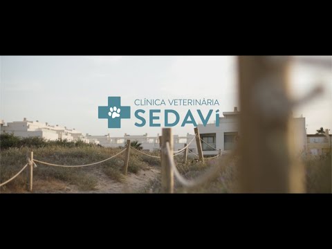 Clinica Veterinaria Sedavi