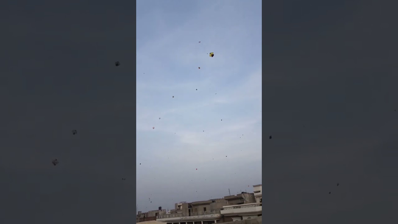 basant seen old memories 😍😍