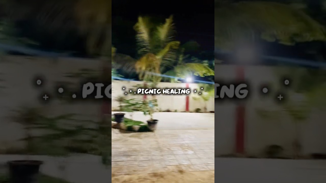 Chill Picnic Vlog | Relaxing Outdoor Day with Friends & Nature