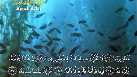 القيامة للقارئ يوسف بن نوح احمد