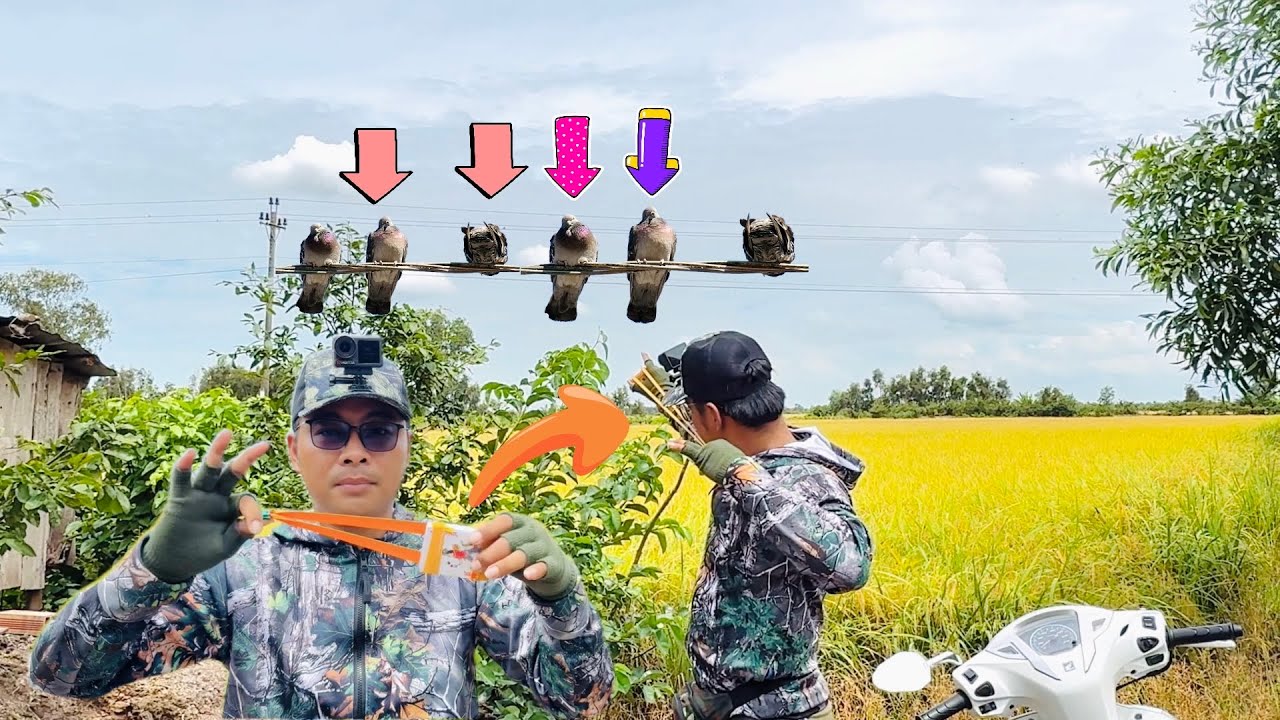 MÉT 72 - THỬ DÙNG BỘ BÀI KẾT HỢP DÂY M72 PRO ĐI SĂN CHIM RỤNG NHƯ MƯA || Try the hunting deck