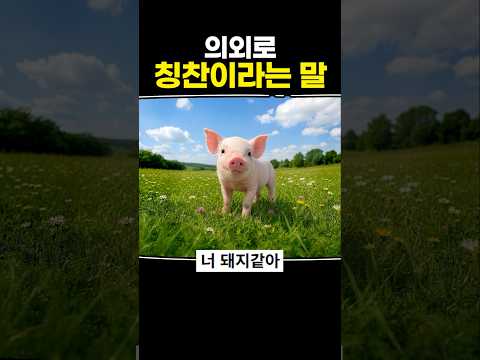 의외로 칭찬이라는 말