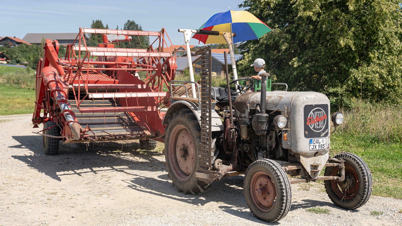 Eicher ED16 & KÖLA GM3 Mähdrescher | Dinkel & Roggen dreschen 2023