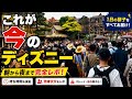 【2026_5月】東京ディズニーランドの1日|朝から夜まで混雑・待ち時間を徹底レポ!