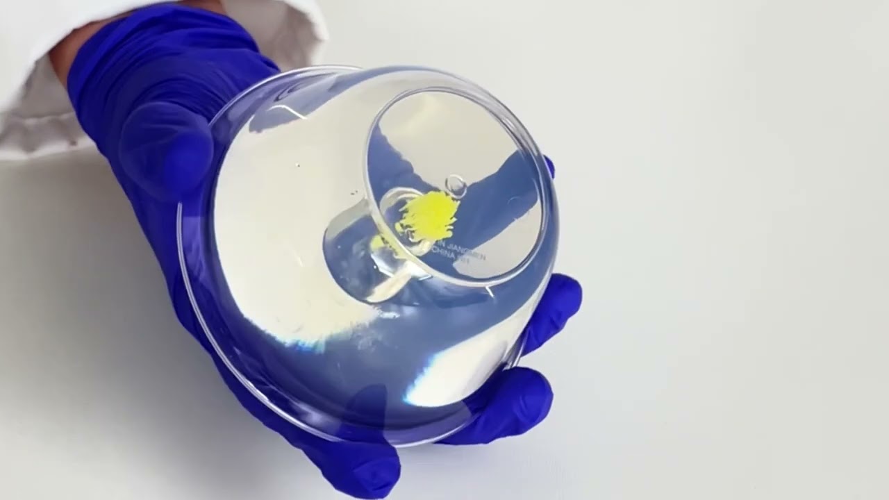 Flor De Margarita Gelatina Artistica (La Clase ) 