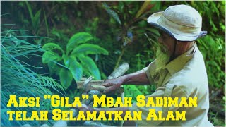 Download Lagu Seperempat Abad Perjuangan Mbah Sadiman, Hijaukan Hutan Gunung Gendol MP3