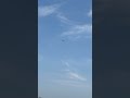 3d printed crow 50mm edf