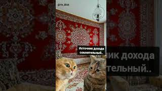 Мем котики 3 #мемы2024 #shorts #приколы #ifhone #котики