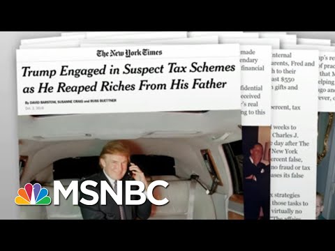 Tell-All Book Renews Attention On Trump Sister's Ethics Inquiry | Rachel Maddow | MSNBC