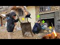 Life in a Mountain Shelter | Nomadic Mother Faces War and Flood