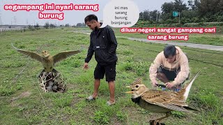 sarang burung branjangan ternyata banyak disini burung lainpun ikut bikin sarang